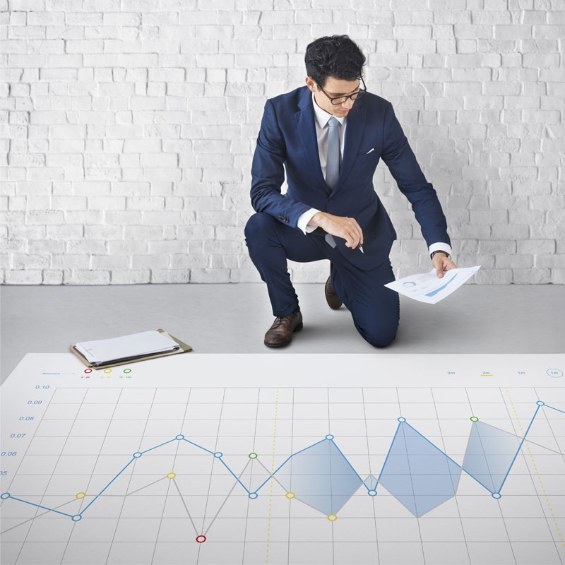 Asset management software